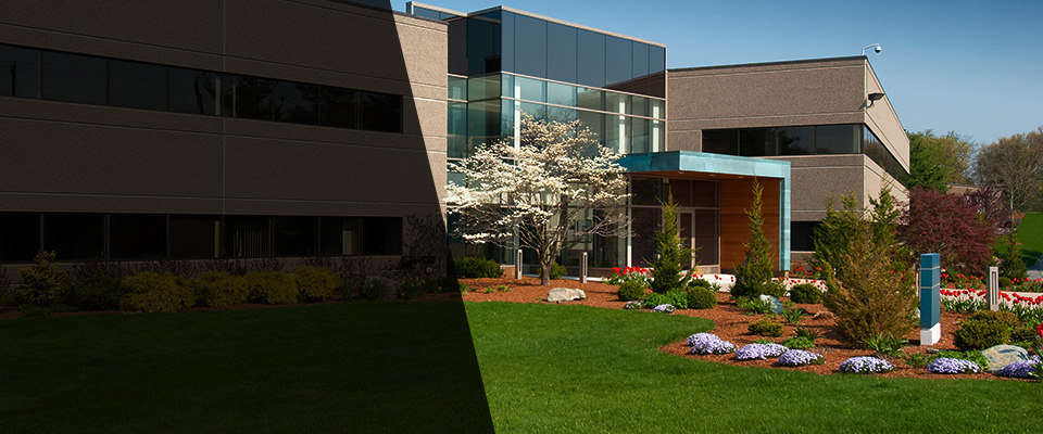 Shingle Springs Landscapers