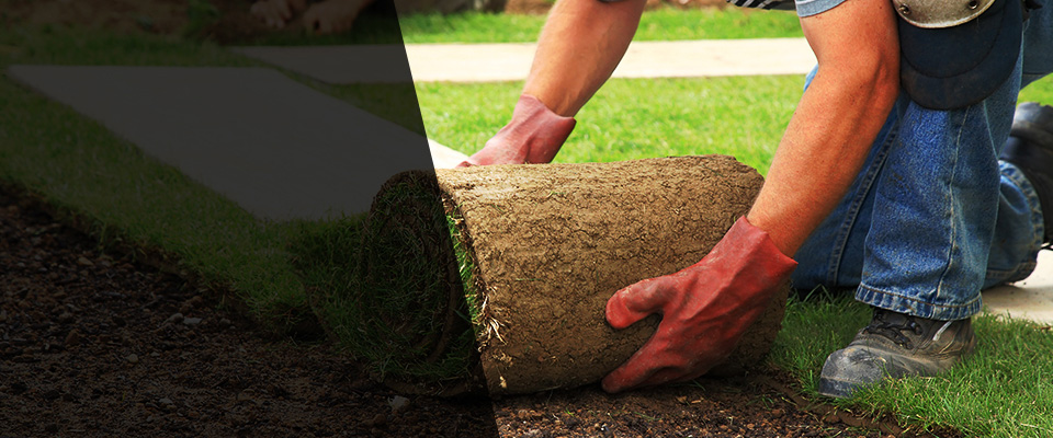 Shingle Springs Landscapers